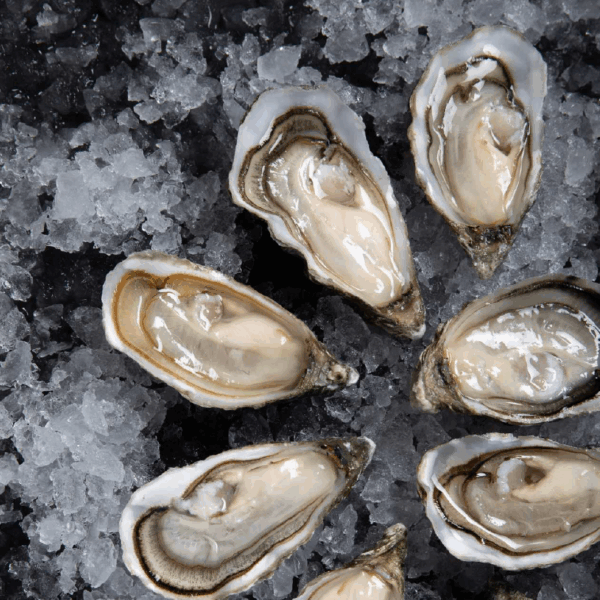 photo food_yc-08