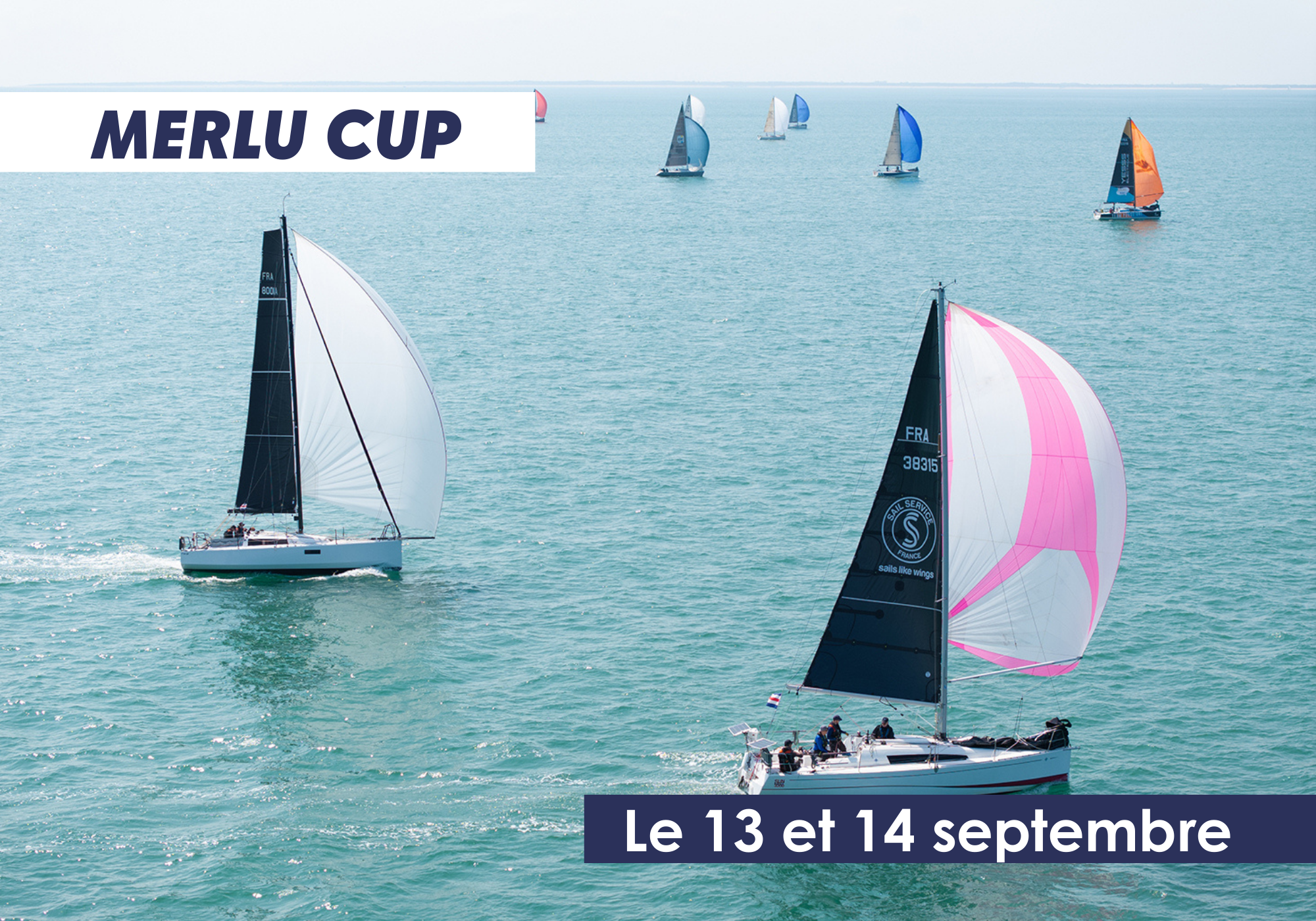 Lire la suite à propos de l’article MERLU CUP